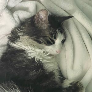 Meet your Posher, Ten